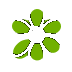 flower icon of a flower