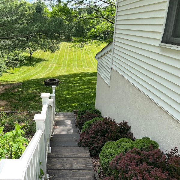 landscape 2 picture of outside staircase lined with plants