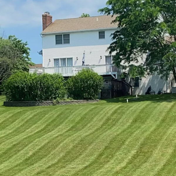 mowing pictured of a mowed back yard